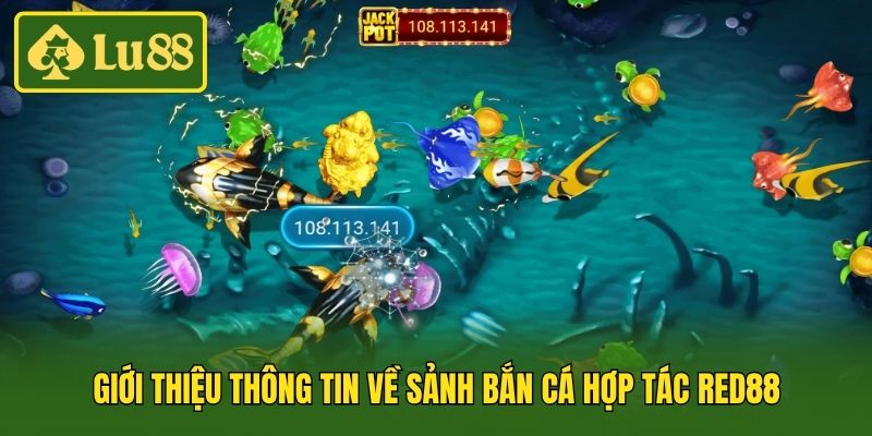 Giới thiệu thông tin về sảnh bắn cá hợp tác Red88